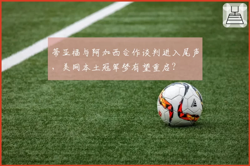 蒂亚福与阿加西合作谈判进入尾声，美网本土冠军梦有望重启？
