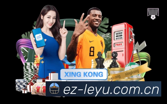 安全使用与支持流程